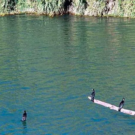 Scenic With View Of The Gardon River 4*